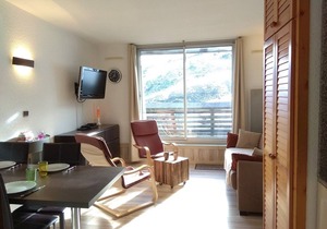 Cozy studio for 4 with balcony in Piau-Engaly