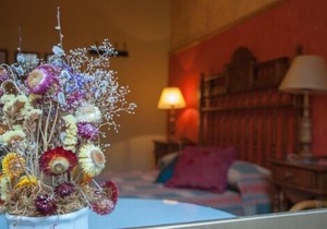 Edulis house for 8 people. Optional for 10 people