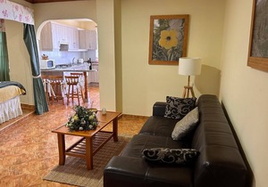 Holiday apartment Icod de los Vinos for 1 - 4 persons with 2 bedrooms - Holiday apartment