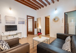 HOLIDAY PALMA APARTMENT 1
