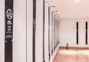 PINOS ALTOS 10