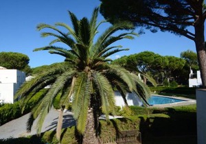 PIVERD DEL GOLF 22
