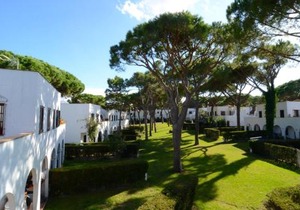 PIVERD DEL GOLF 22