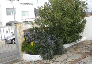 REF 30 MAISON A ROSES SECTEUR MAS BUSCA