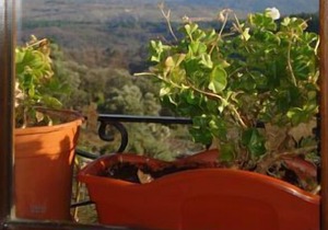 Rural apartment Azahar for 2 people