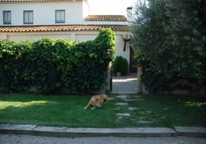Rural apartment Can Planas for 4 people