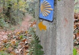 Rural apartment El Llagar de Zoilo for 4/5 people