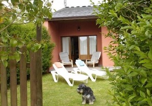 Rural apartment El Guindal for 3 people