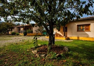 Rural apartment Fuente Del Aliso for 4 people