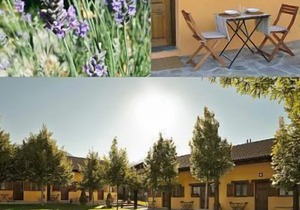 Rural apartment La Estibialla for 4 people