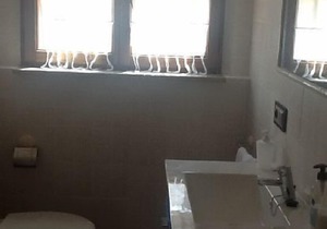 Self catering Arribes La Corredera for 6 people