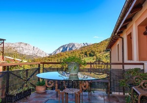 Stunning views of the mountain and forest.