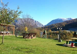 Stunning views of the mountain and forest.