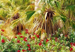 Villa Mosa - A Murcia Holiday Rentals Property