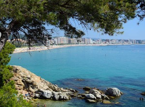 Les Suredes | Sant Antoni de Calonge