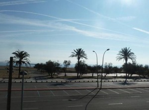 Apartamento Primera Linea De Playa Ref | Empuriabrava