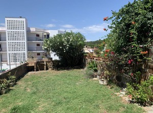 Wasela | Palamos