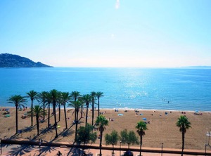 Royal Marina | Santa Margarida