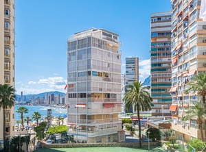 Carabelas | Benidorm