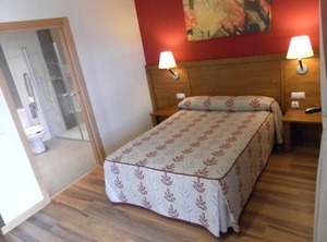 Hotel Milagros Rio Riaza | Milagros