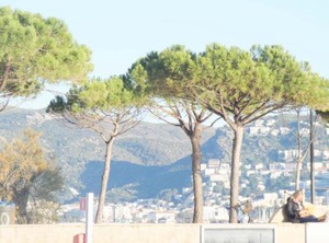 Res Baie | Santa Margarida