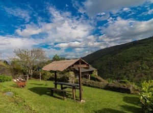 El Bosque De Las Viñas People | Prelo