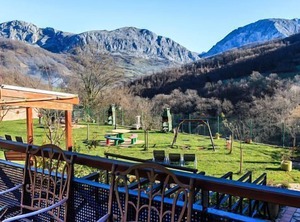 The Mountain Forest | La Plaza