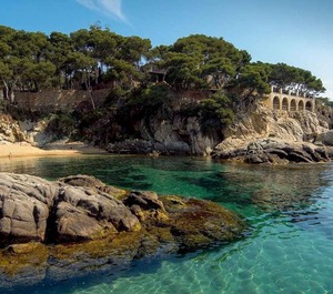Swimming Beach 