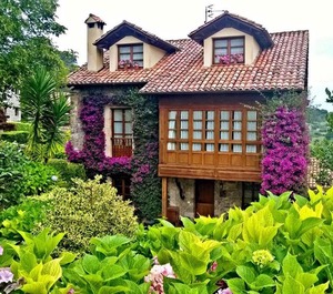 Trisqueles Buganvillas 