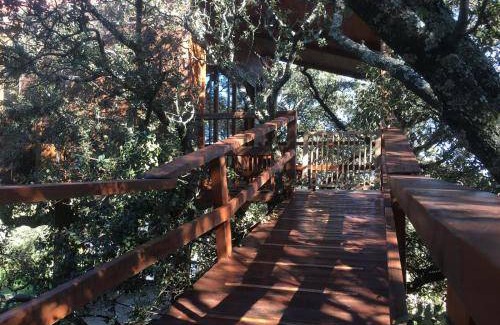 Pedroso de Acim Cabin | 20 m² Lodge ∙ 2 guests