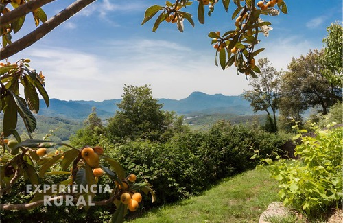 Sant Joan les Fonts House | 250 m² House ∙ 5 bedrooms ∙ 14 guests