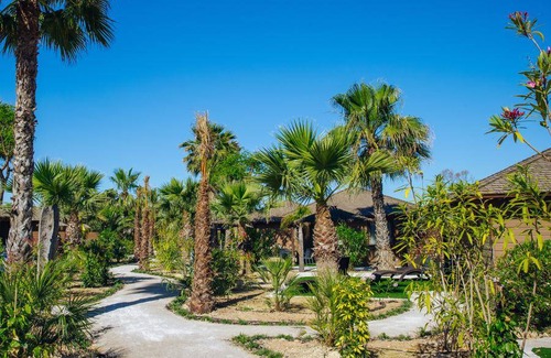 Crevillente House | 35 m² Mobile home ∙ 2 bedrooms ∙ 6 guests