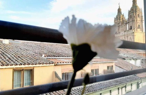 Centro Apartment | 40 m² Serviced apartment ∙ 2 bedrooms ∙ 10 guests