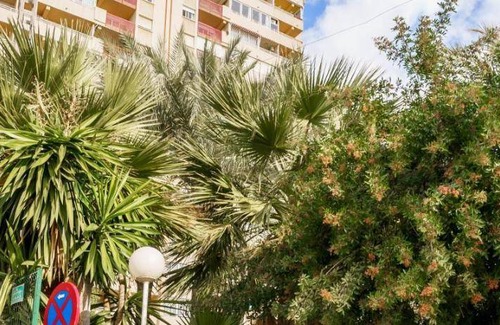 Cala Apartment | 40 m² Serviced apartment ∙ 127 guests