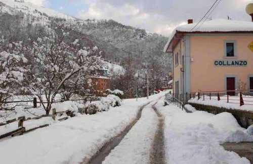 Collanzo Apartment | 50 m² Apartment ∙ 1 bedroom ∙ 4 guests