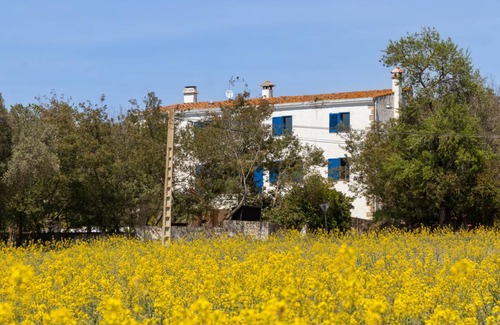 Santa Cristina de Aro Apartment | 50 m² Apartment ∙ 2 bedrooms ∙ 5 guests