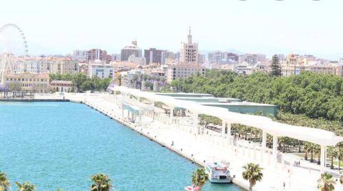 Malaga Apartment | 60 m² Apartment ∙ 1 bedroom ∙ 4 guests
