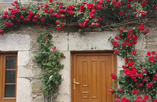 Sarria Bed & Breakfast | 60 m² Bed and breakfast ∙ 9 guests