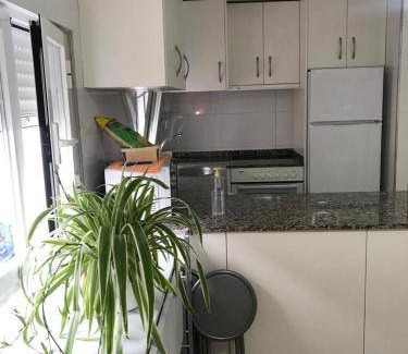 Ourense Apartment | 70 m² Apartment ∙ 2 bedrooms ∙ 4 guests