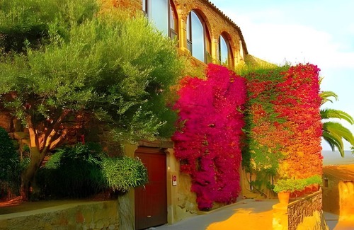 Pals Resort | 70 m² Resort ∙ 3 bedrooms ∙ 127 guests