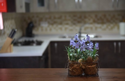 Chiclana de Segura Apartment | 75 m² Apartment ∙ 2 bedrooms ∙ 6 guests