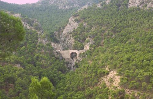 Huerta de Arriba Hostel | Aljibe de Monastrell