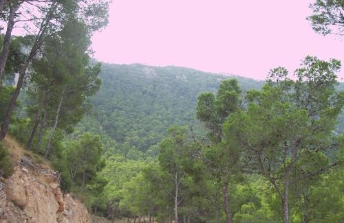 Huerta de Arriba Hostel | Aljibe de Monastrell