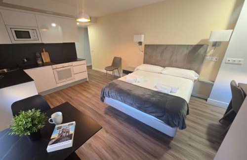 Aranda de Duero Apartment | Apartahotel Aranda Flex Living