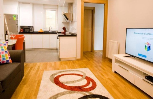 Estella Apartment | Apartamento Amaiur 1