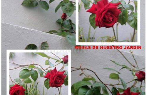 Fuentes de Ebro Cottage | Cabin ∙ 17 bedrooms ∙ 2 guests