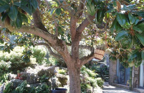 Romanya de la Selva Cottage | Cabin ∙ 2 bedrooms ∙ 4 guests