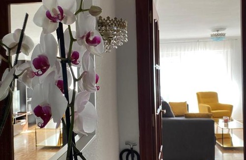 Leon Apartment | El Mirador del Rey