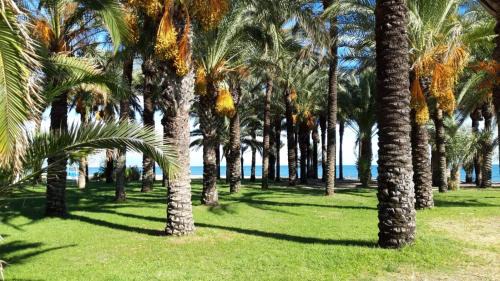 Carihuela Apartment | Las Plumas Beach