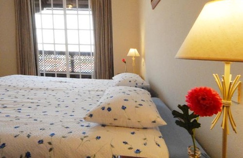 Puerto de la Cruz House | Penthouse Anky -Vivienda vacacional